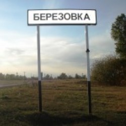 Деревня березовка. Поселок березовка. Деревня березовка алтайский край. Березовка амурская область. Березовка белоруссия.
